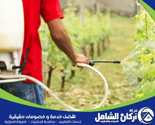 شركة رش دفان بالقطيف شركة رش دفان بالقطيف