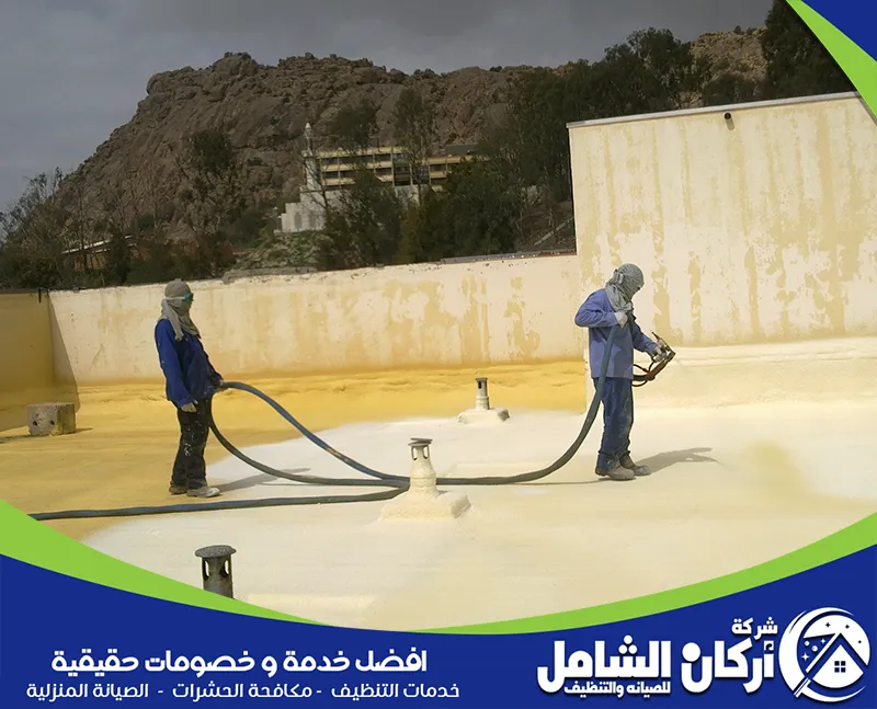فني محترف يعالج تشققات الأسطح ويمنع تسرب المياه بكفاءة وسرعة فائقة.