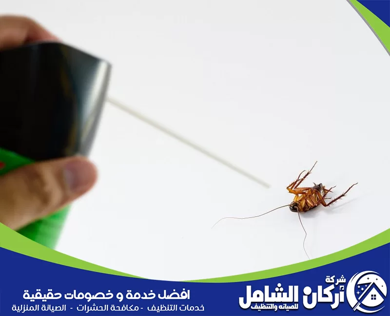 طرق التخلص من حشرات المنزل بنتيجة سريعة ومجربة مكافحة حشرات رش حشرات دقيق يستهدف الصراصير في أماكن الظهور لضمان مكافحة سريعة داخل المنزل.