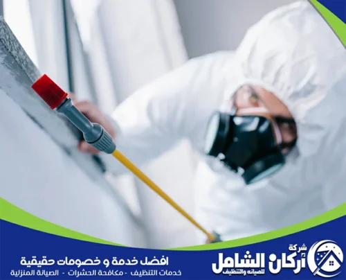 شركة بخ حشرات الدمام 0500073610 maskancare رش المبيدات في الدمام