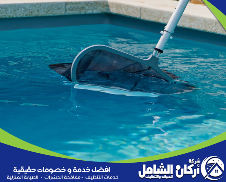 طريقة تنظيف المسابح من الغبار