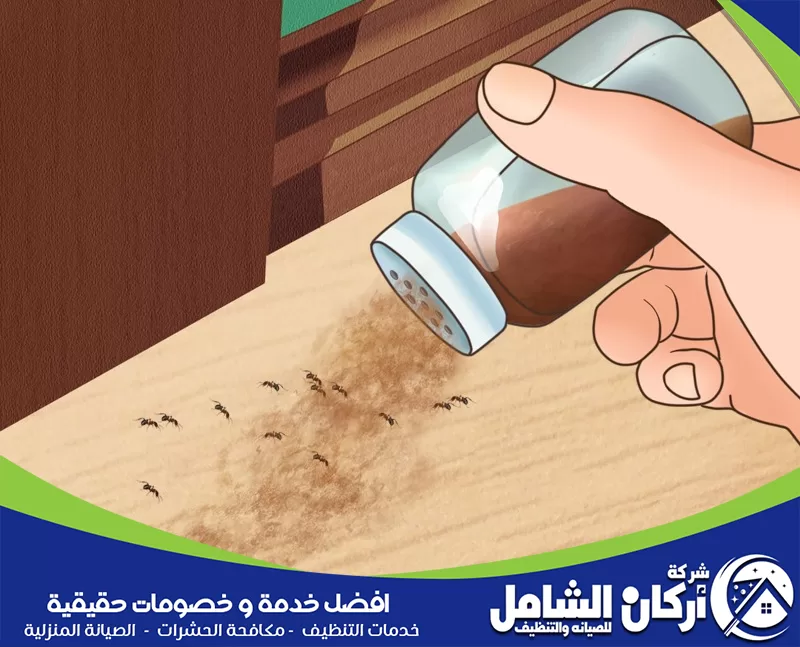 طرق التخلص من حشرات المنزل بنتيجة سريعة ومجربة مكافحة حشرات المنزل مكافحة النمل المنزلي باستخدام بودرة مخصصة لمعالجة التجمعات والمسارات بدقة.