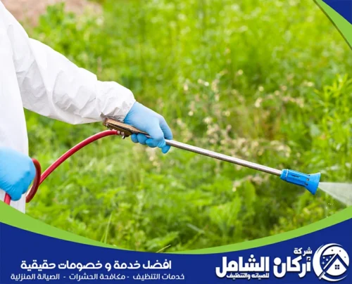 افضل شركة مكافحة حشرات بالقطيف افضل شركة مكافحة حشرات بالقطيف