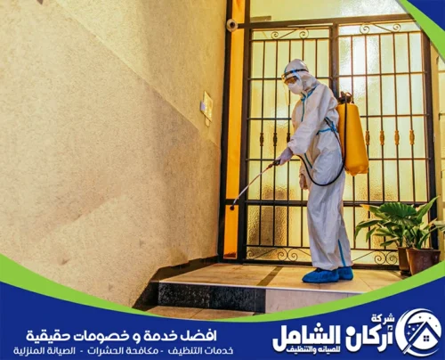فني يرتدي بدلة واقية يقوم برش مادة خاصة عند مدخل منزل، مع التركيز على المناطق المحيطة لضمان حماية فعالة من الآفات.