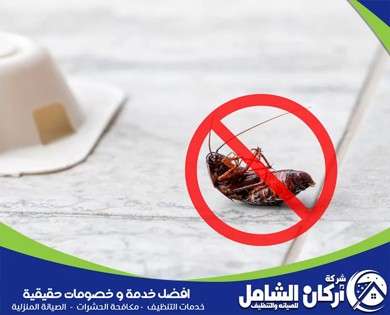 مكافحة الصراصير بطرق آمنة تساعد على منع انتشارها داخل الأرضيات والمطابخ.