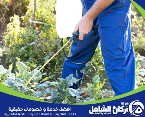 شركة رش مبيدات بالقطيف شركة رش مبيدات بالقطيف