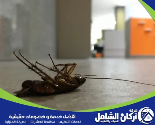 كيفية القضاء علي صراصير المطبخ