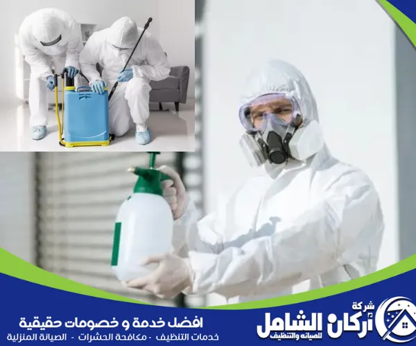 مكافحة حشرات ببقيق مكافحة حشرات ببقيق