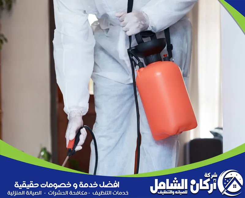 أسباب انتشار الحشرات المنزلية بكثرة