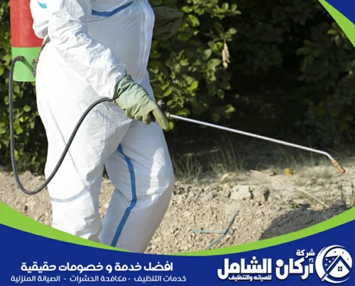 مكافحة النمل الابيض بالقطيف مكافحة النمل الابيض بالقطيف