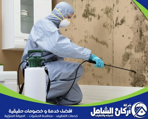 مكافحة حشرات في صفوى خصم
