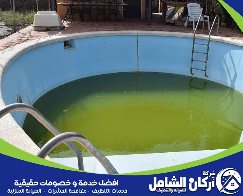 عكارة ماء المسبح تكشف أهمية تنظيف القاع والفلتر بعد تراكم الغبار.