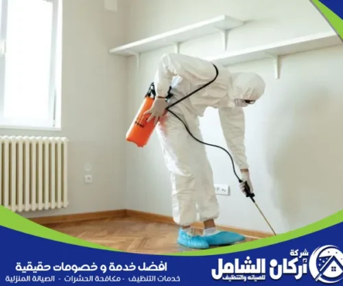 رش حشرات المنزل بعنك