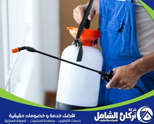 شركة مكافحة حشرات في صفوى خصم