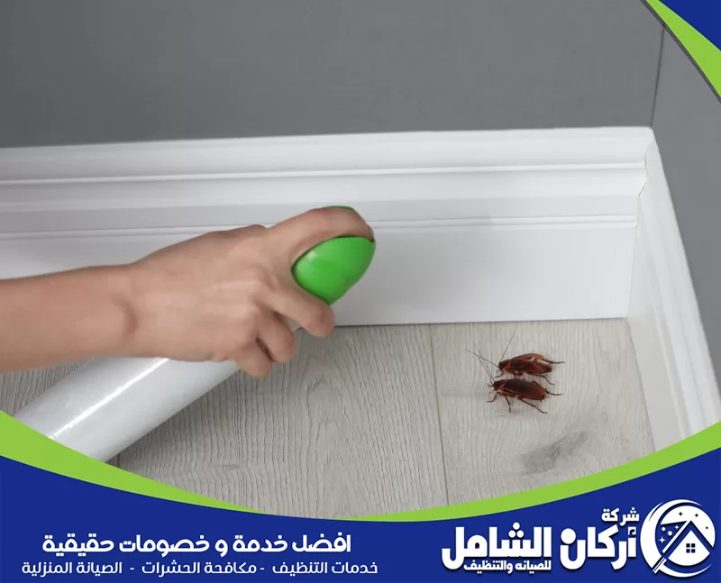طرق التخلص من حشرات المنزل بنتيجة سريعة ومجربة مكافحة مكافحة الافات رش صراصير داخل المنزل مع التركيز على الحواف والزوايا لضمان نتيجة واضحة.